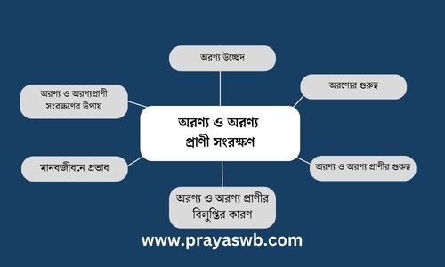 অরণ্য ও অরণ্য প্রাণী সংরক্ষণ প্রবন্ধ রচনা