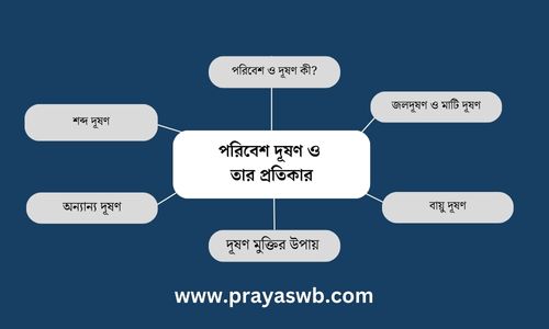 পরিবেশ দূষণ ও তার প্রতিকার প্রবন্ধ রচনা