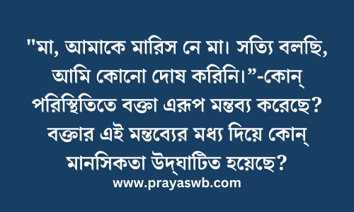 মা, আমাকে মারিস নে মা। সত্যি বলছি, আমি কোনো দোষ করিনি