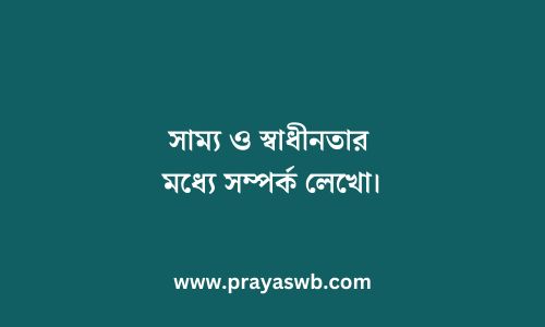 সাম্য ও স্বাধীনতার মধ্যে সম্পর্ক লেখো