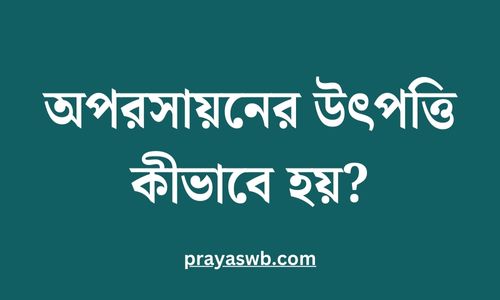অপরসায়নের উৎপত্তি কীভাবে হয়