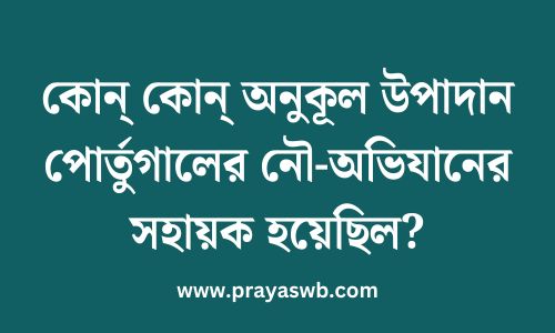 কোন্ কোন্ অনুকূল উপাদান পোর্তুগালের নৌ-অভিযানের সহায়ক হয়েছিল