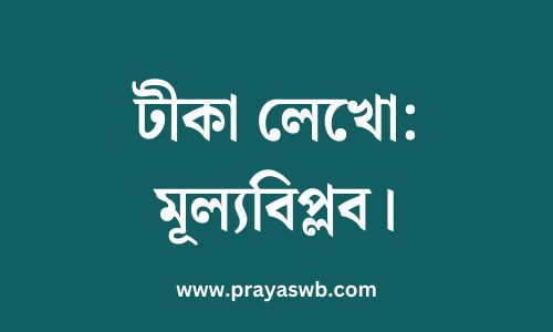 টীকা লেখো: মূল্যবিপ্লব
