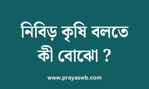 নিবিড় কৃষি বলতে কী বোঝো 