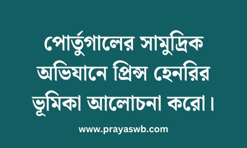 পোর্তুগালের সামুদ্রিক অভিযানে প্রিন্স হেনরির ভূমিকা আলোচনা করো