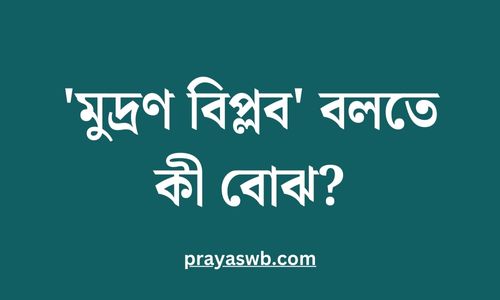 'মুদ্রণ বিপ্লব' বলতে কী বোঝ