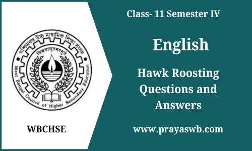 Hawk Roosting Questions and Answers