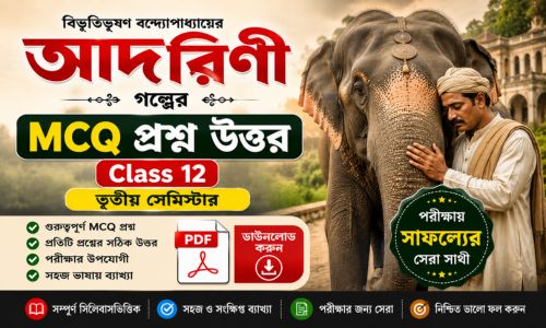 Adorini Class 12 MCQ PDF