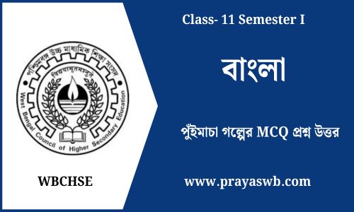 পুঁইমাচা গল্পের MCQ প্রশ্ন উত্তর
